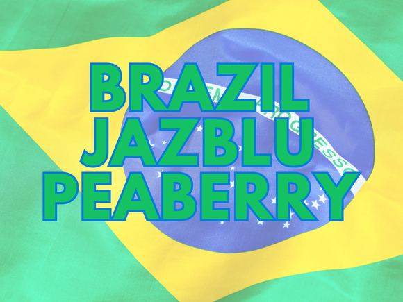 Brazil Jazblu Peaberry