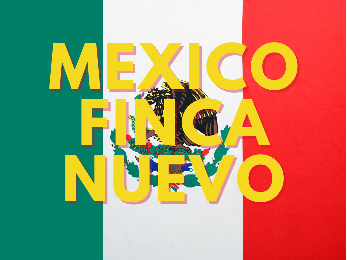 Mexico Finca Nuevo