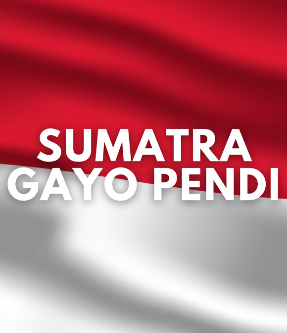 Sumatra Gayo Pendi